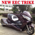 Novo Trike CEE 300cc Quad para uso